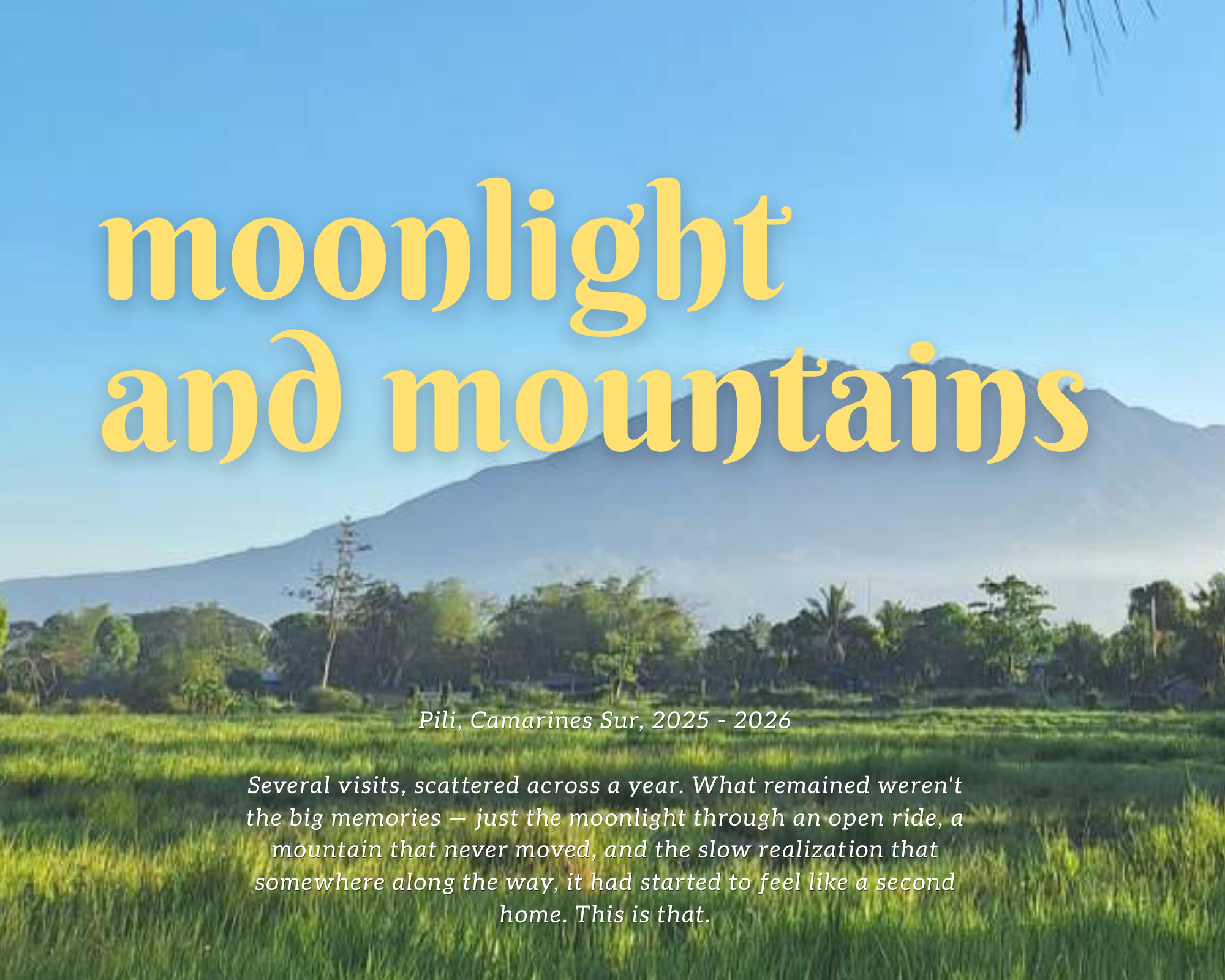moonlight and mountains